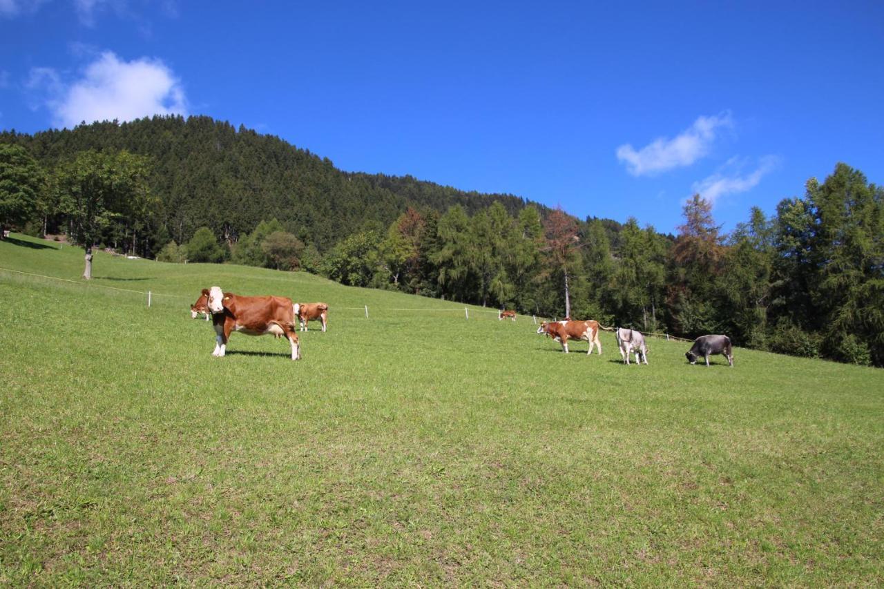 Gasthof Walde Rifiano Bagian luar foto